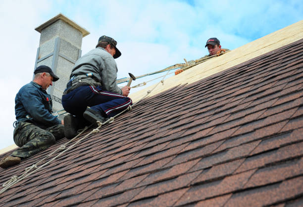 Best Affordable Roof Replacement  in Steep Falls, ME